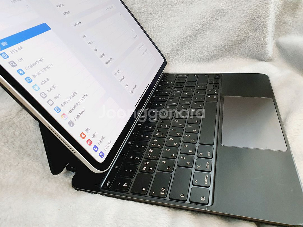 APPLE 2024 iPad Pro 13 M4 1TB--6