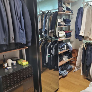 삼성 비스포크 에어드레서 DF10A9500CG