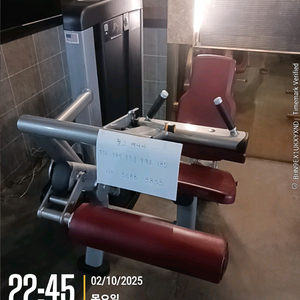 라이프휘트니스 인시그니아 시티드레그컬