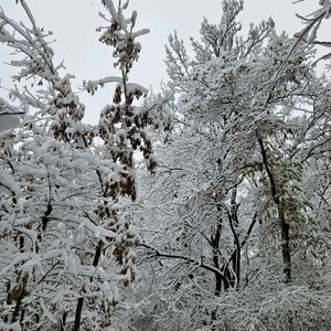 9800x3D/5070ti/5080뱅가드/녹투아/팀그룹