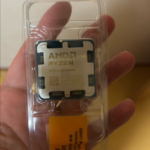 AMD Ryzen 5 9600X CPU