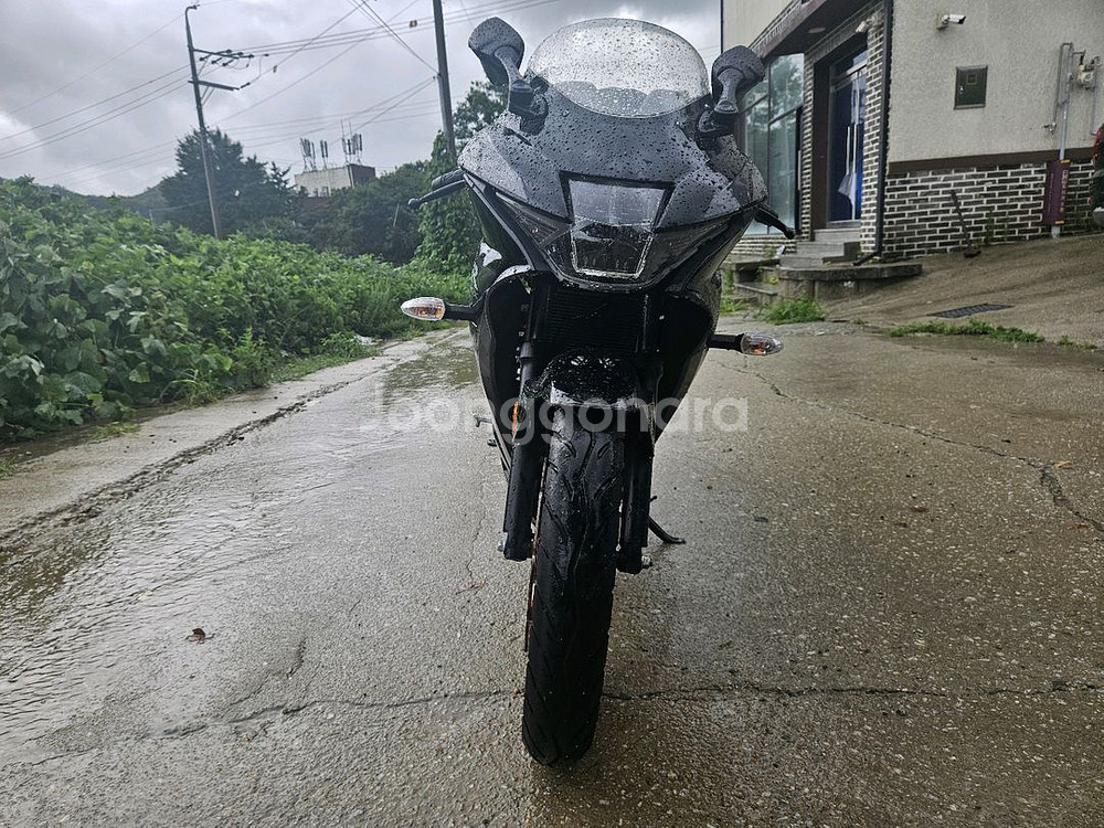 스즈키gsxr125 /검빨 /23년식 / 8천키로 /3--6