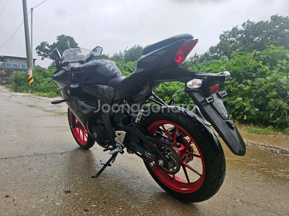 스즈키gsxr125 /검빨 /23년식 / 8천키로 /3--4