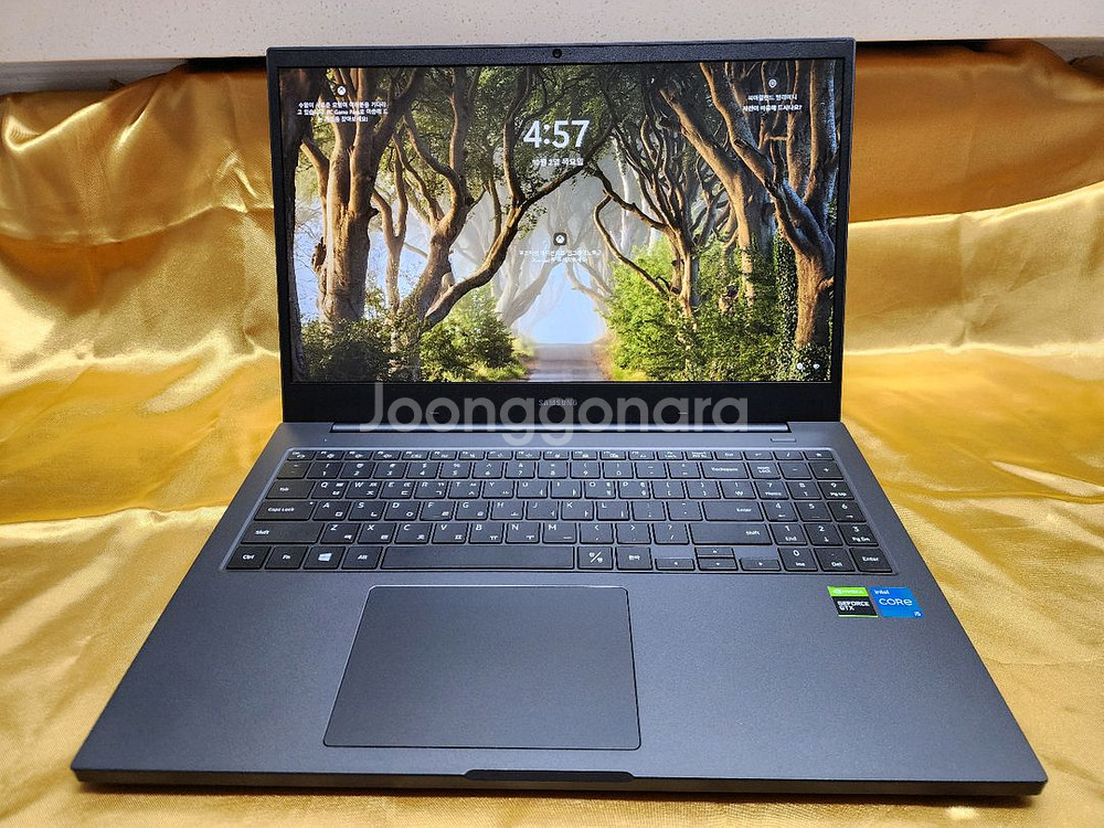 최상급 삼성 Plus2 외장그래픽 i5 16GB 윈11--5