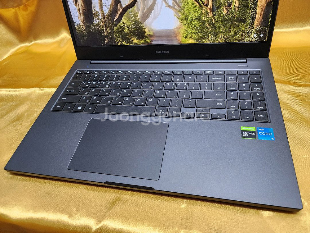 최상급 삼성 Plus2 외장그래픽 i5 16GB 윈11--8