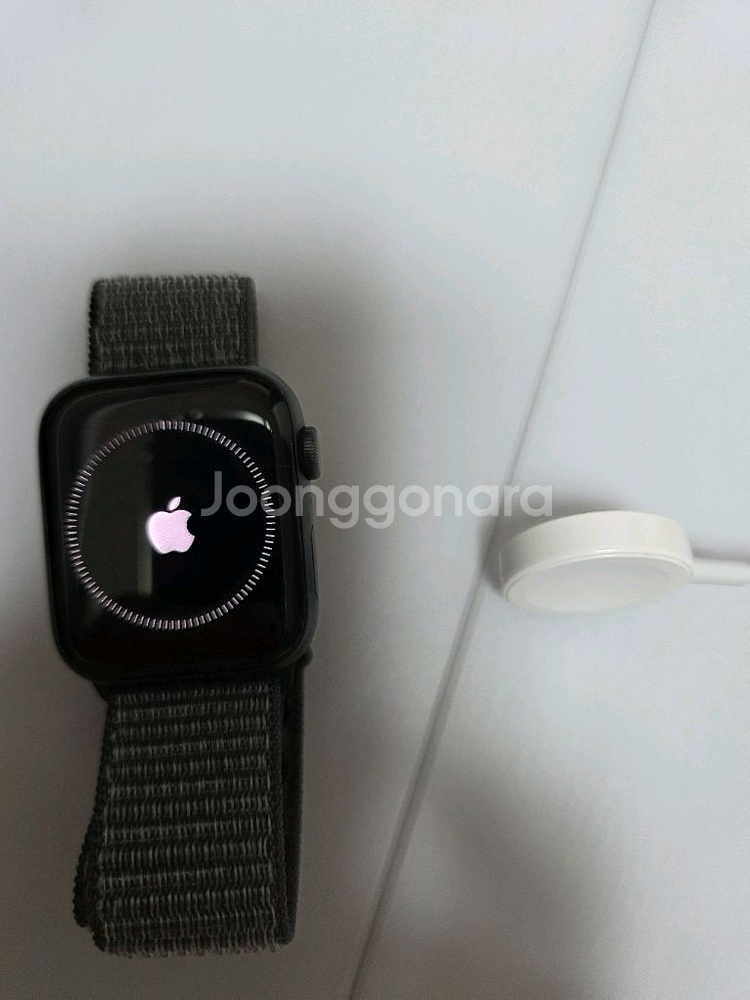 애플워치 SE 44mm--0