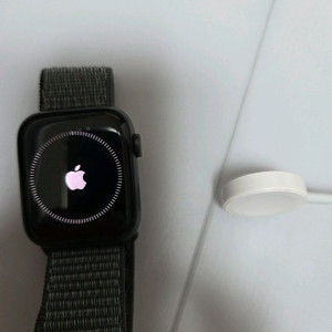 애플워치 SE 44mm