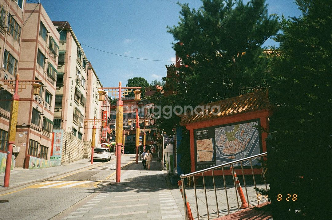 코니카 빅미니 201 필름카메라--5