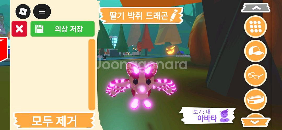 입양하세요 펫 딸기 박쥐 드래곤(네딸박) 판매합니다--0