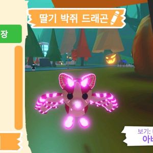 입양하세요 펫 딸기 박쥐 드래곤(네딸박) 판매합니다