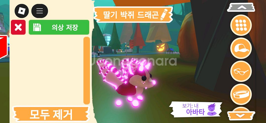 입양하세요 펫 딸기 박쥐 드래곤(네딸박) 판매합니다--1