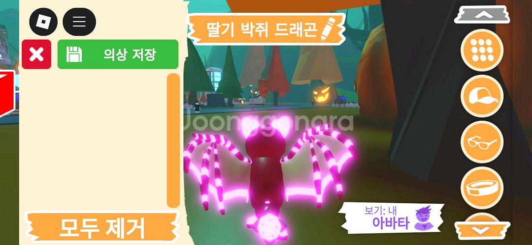 입양하세요 펫 딸기 박쥐 드래곤(네딸박) 판매합니다--3