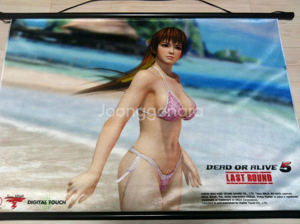 DOA5 dead or alive 카스미 태피스트리--0