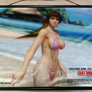 DOA5 dead or alive 카스미 태피스트리
