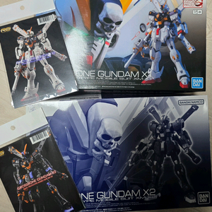 rg 크로스본 x1, x2 + 지리워크데칼