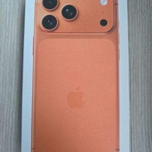 아이폰17 프로맥스 오렌지 256GB 번개장터