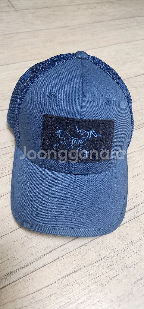 아크테릭스 리프캡--0