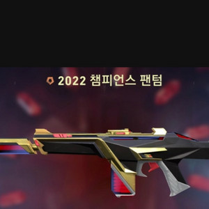 발로란트 굿즈 챔피언스,아케인