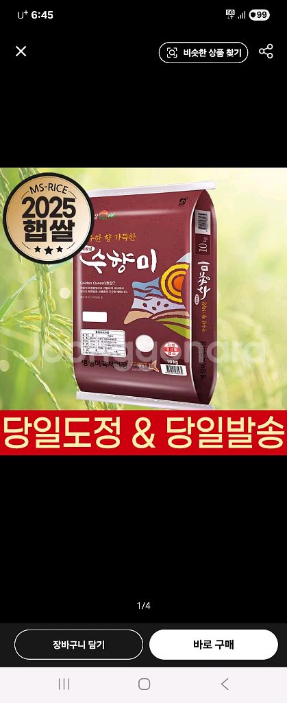 25년산햅쌀수향미10kg당일도정--0