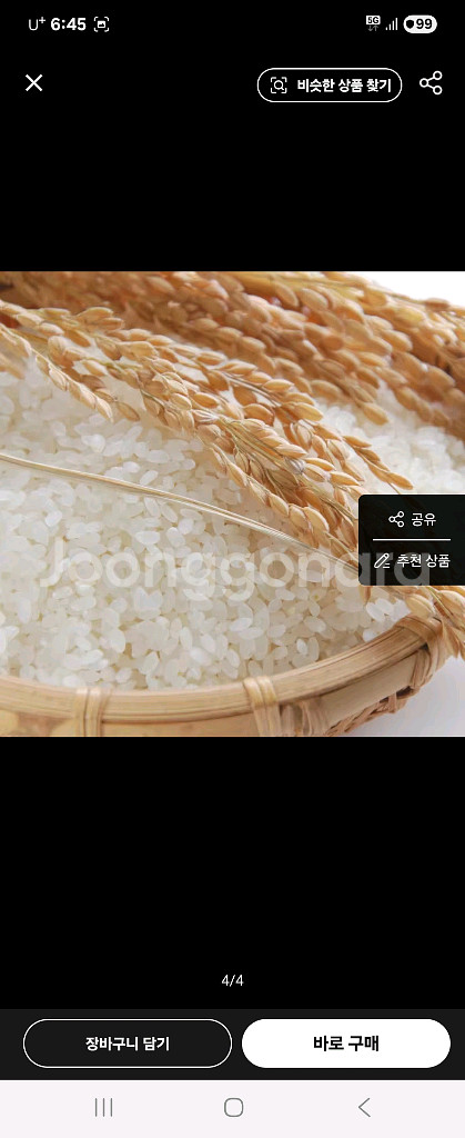 25년산햅쌀수향미10kg당일도정--3