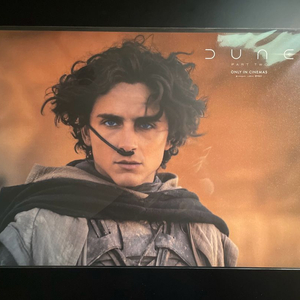 듄 파트2 스파이스 포스터 이미지