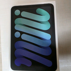 애플케어 미개봉 아이패드 미니 256gb 스페이스그레이