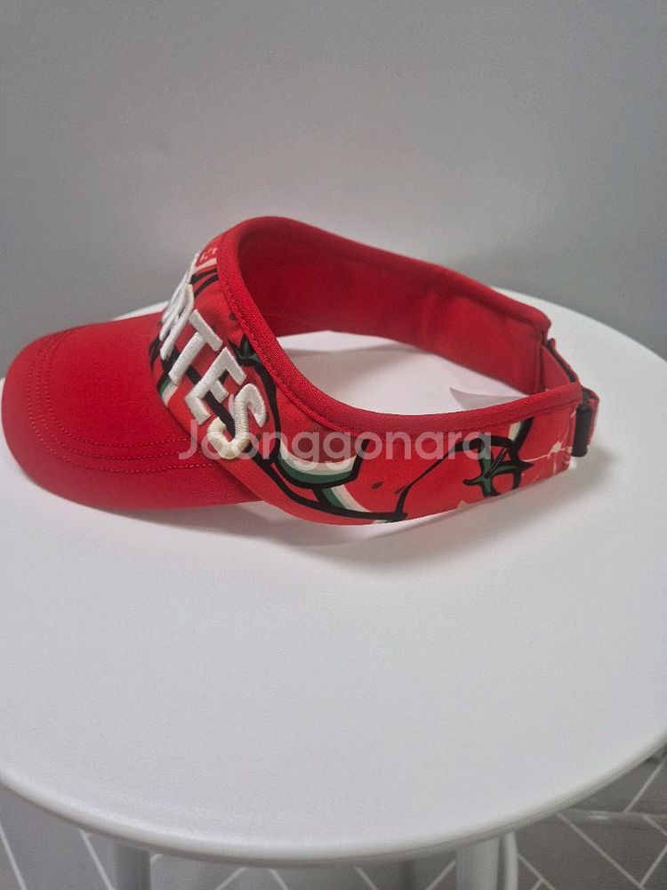 파리게이츠 썬캡--1