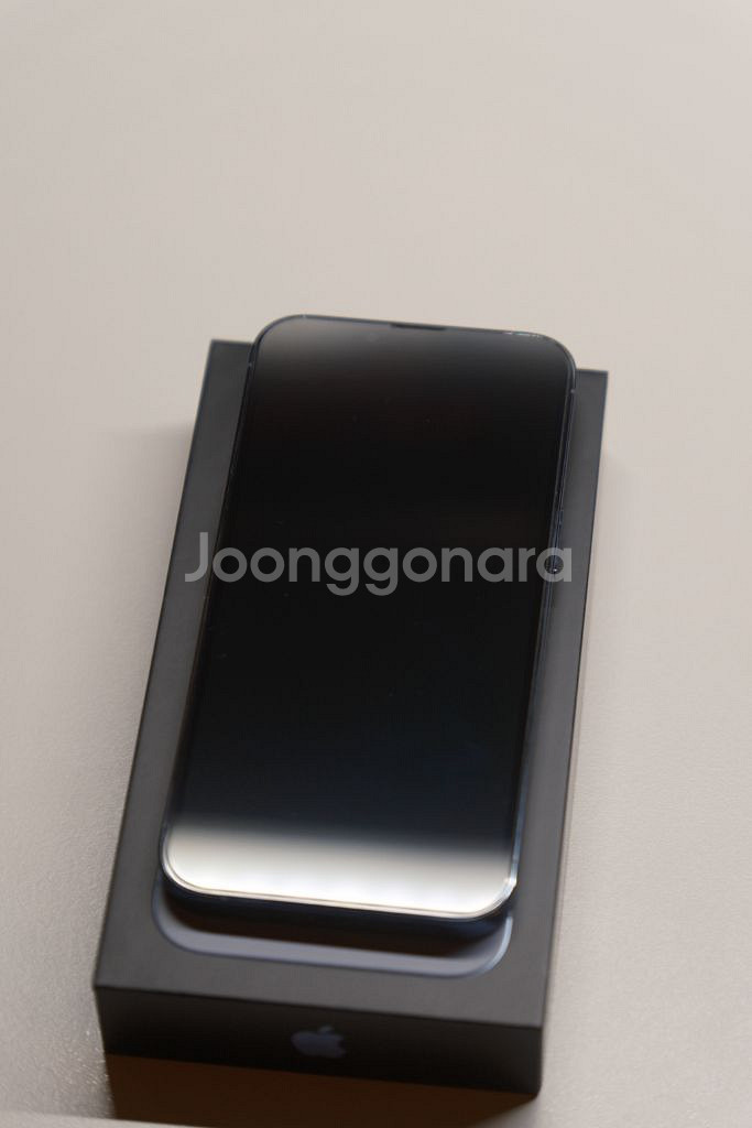 아이폰 13프로 256g 시에라블루--6