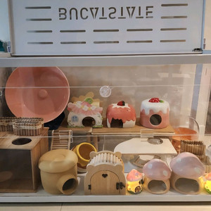 햄스터 케이지 및 용품 일괄