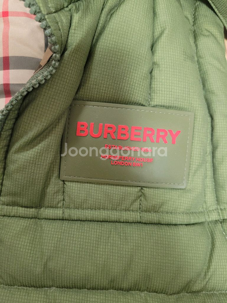 버버리키즈 14y--1