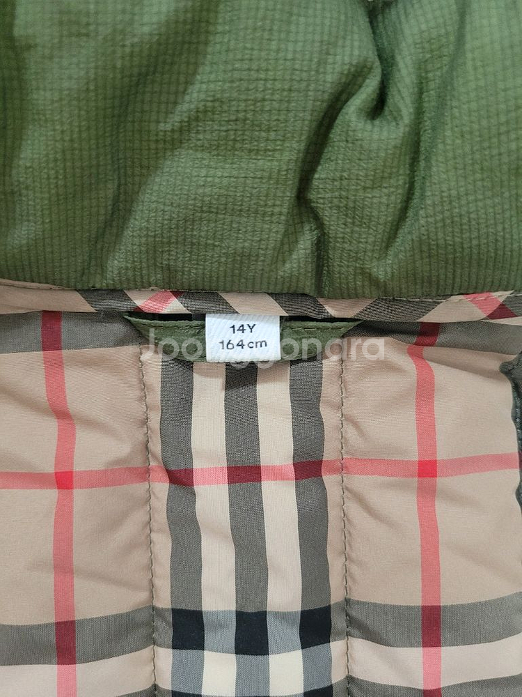 버버리키즈 14y--2