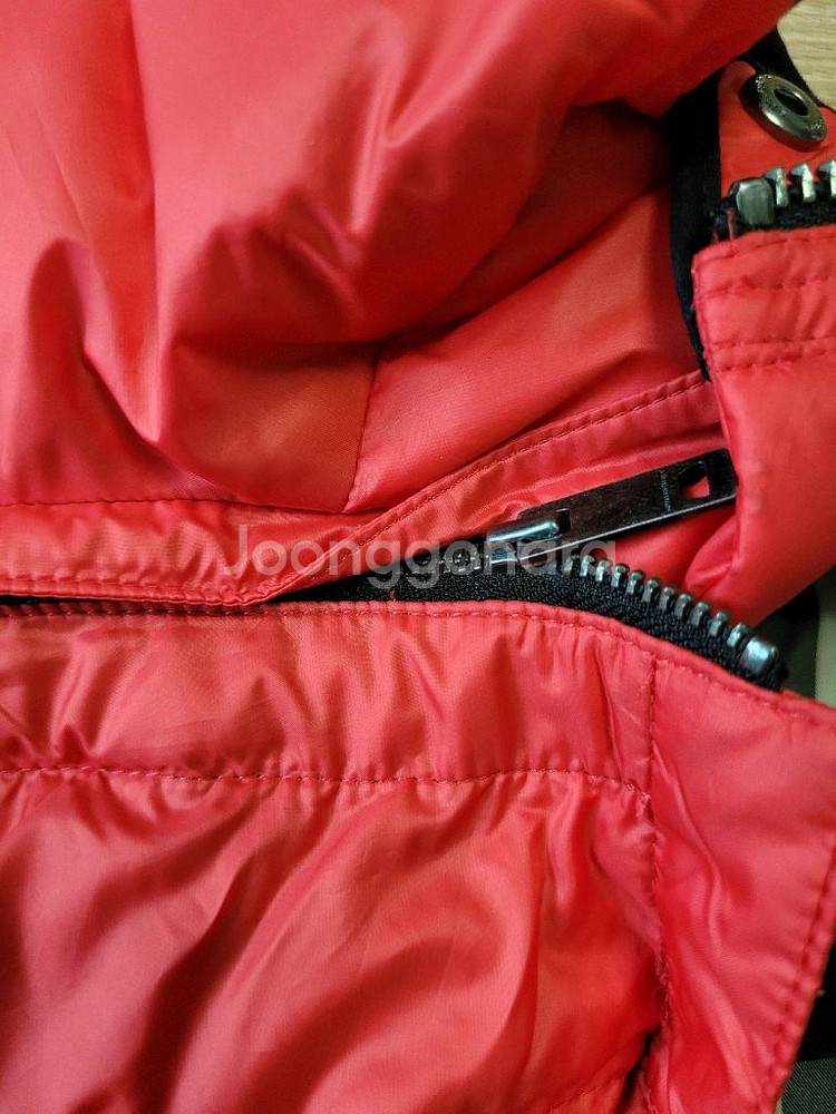 버버리키즈 12y--3