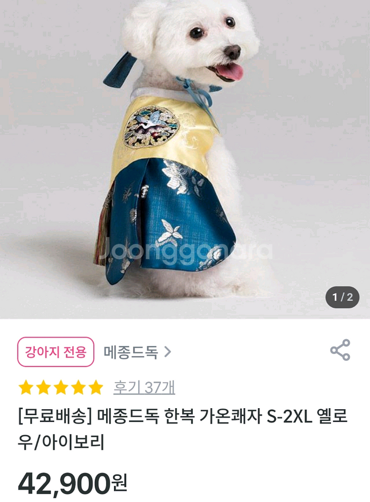 메종드독 강아지 고양이 한복 가온쾌자 M 옐로우 블루--0