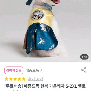 메종드독 강아지 고양이 한복 가온쾌자 M 옐로우 블루