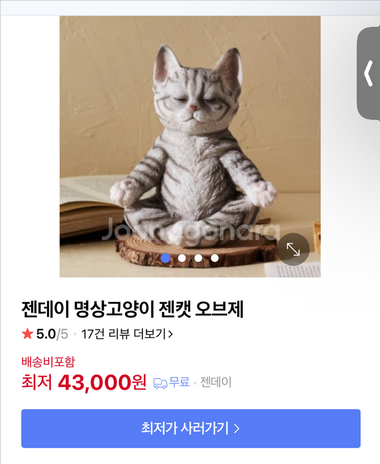 요가하는 고양이--0