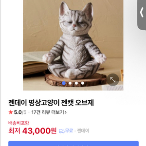 요가하는 고양이