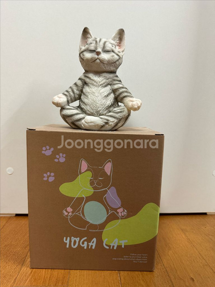 요가하는 고양이--1