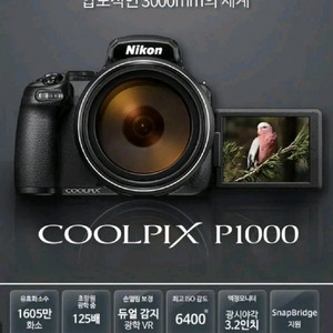니콘 쿨픽스 P1000 카메라 달 분화구 찰영