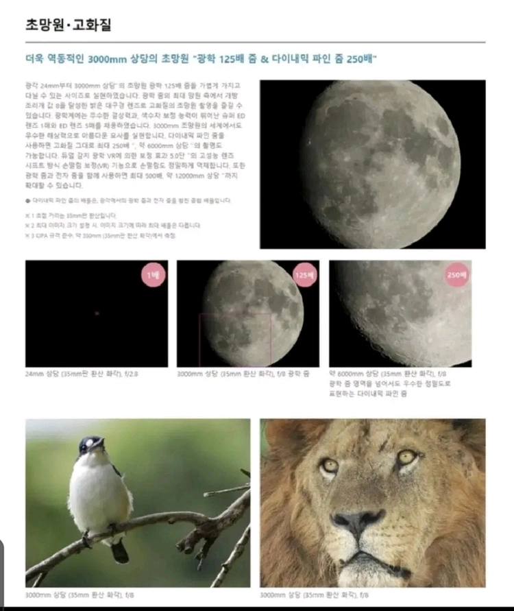 니콘 쿨픽스 P1000 카메라 판매합니다 *마란츠250파워앰프와 교환가능* 이미지