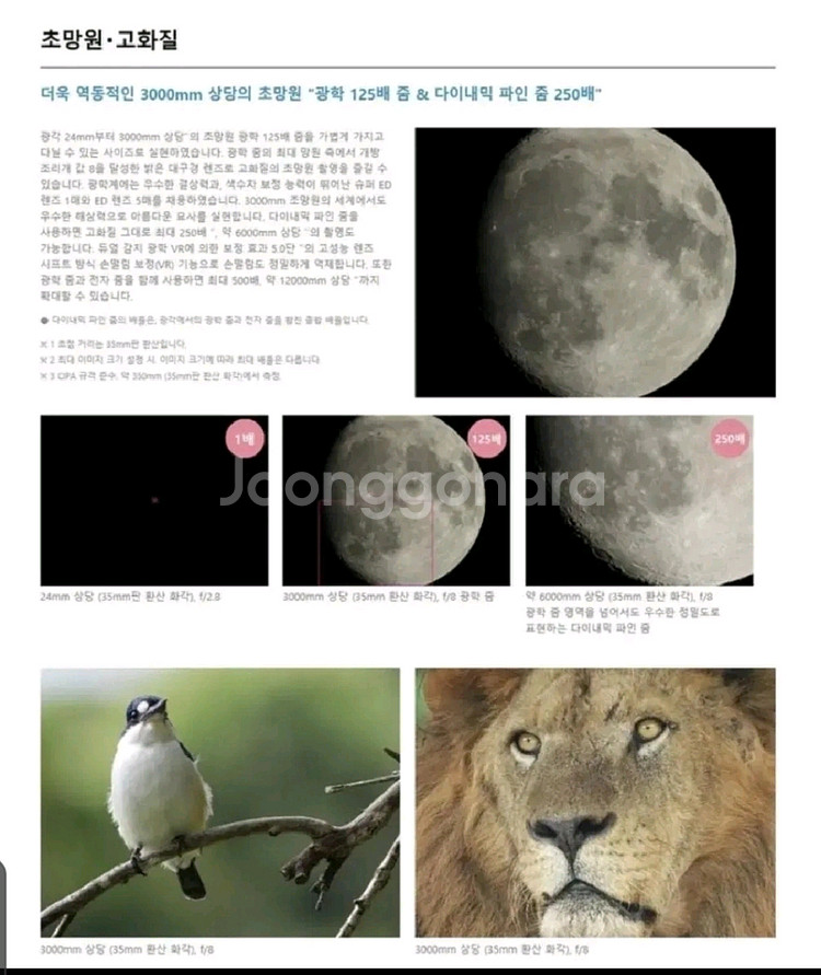 니콘 쿨픽스 P1000 카메라 달 분화구 찰영--7