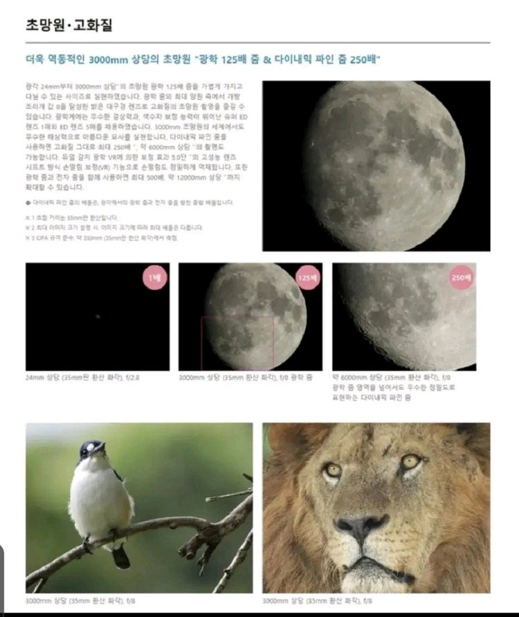 니콘 쿨픽스 P1000 카메라 판매합니다 *마란츠250파워앰프와 교환가능* 이미지