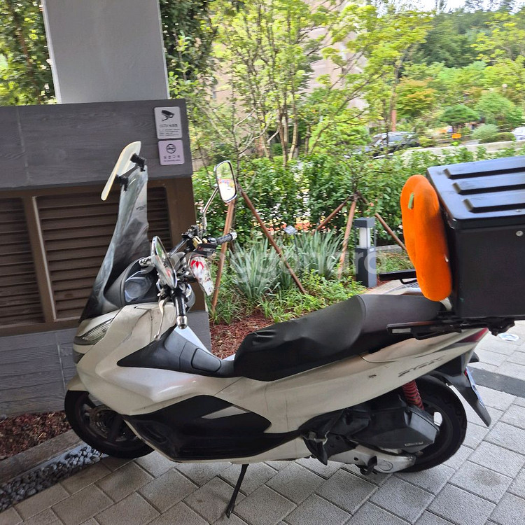 Pcx150 20년식--1