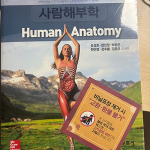 사람해부학 수문사