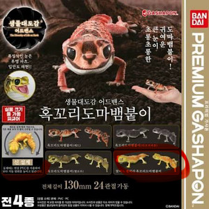 생물대도감 어드밴스 혹꼬리도마뱀붙이 (프리미엄 가챠)