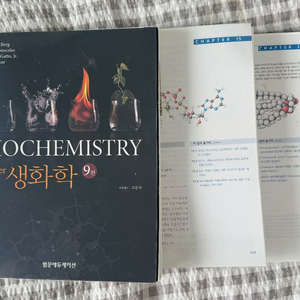 stryer 생화학 9판 / 스트라이어 생화학