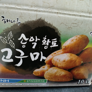 당진 꿀고구마 10kg