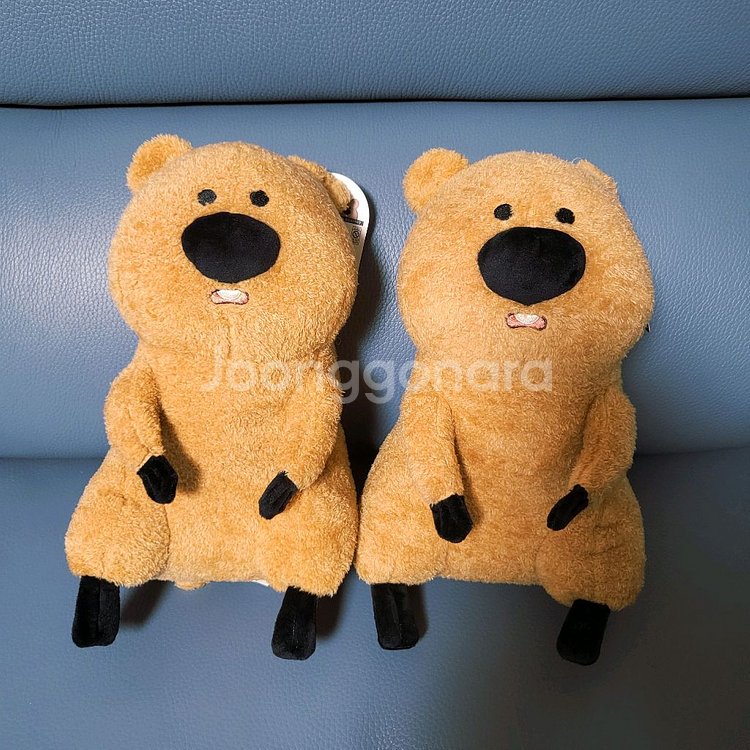 쿼카 코커 인형 (25cm)--0