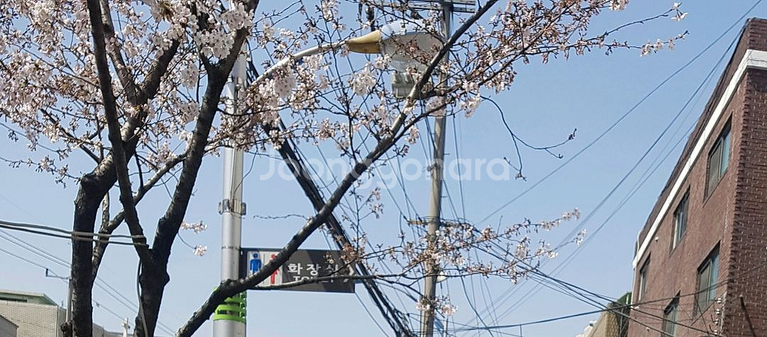구합니다 야놀자 여기어때 115만 전후 70프로 구함--0