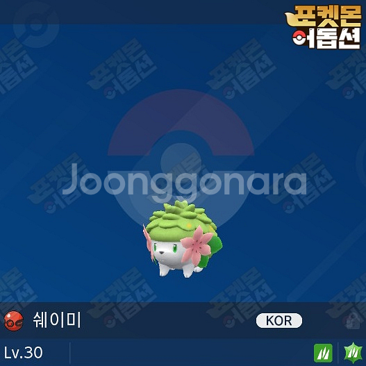 쉐이미 / 포켓몬스터 / 닌텐도 스위치--0