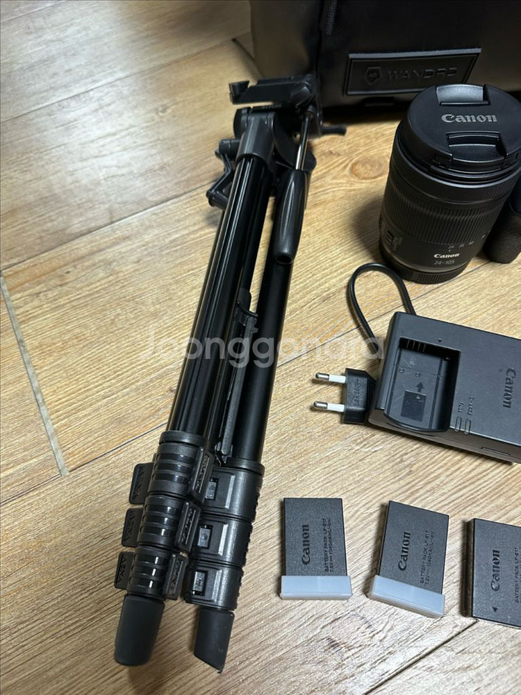 캐논 EOS R8--2